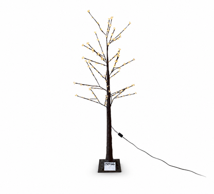 ARBOL PLATEADO L/CALIDA1.5M C/20